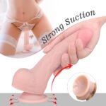 Suction cup base of Baron realistic dildo