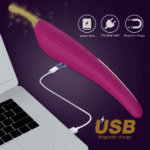 USB charging Honey Bean wand massager