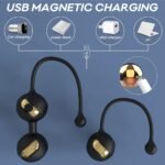 USB charging vibrating kegel balls