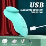 USB charging Leaf panty vibrator
