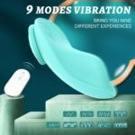 Leaf panty vibrator vibration modes