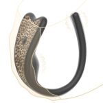 Nidalee butterfly vibrator wearable fit